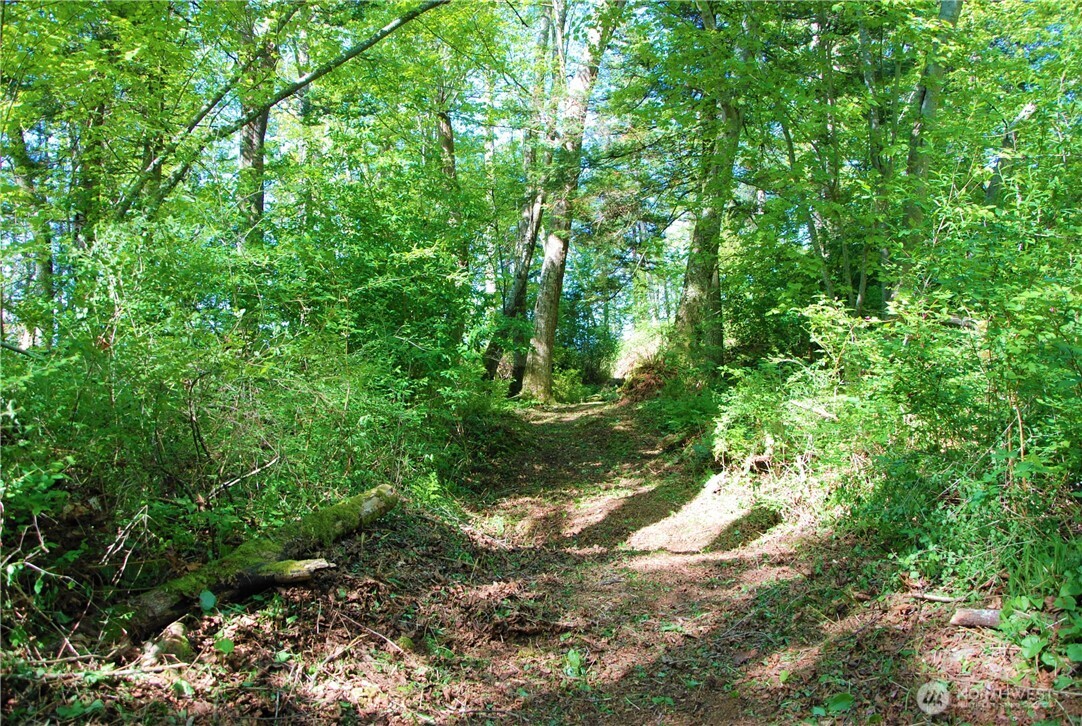 12 Koehn Road Blaine, WA 98230 - Photo 11 of 22 a view of a yard