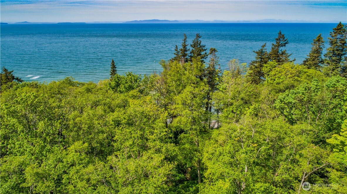12 Koehn Road Blaine, WA 98230 - Photo 13 of 22 a view of an ocean from a yard