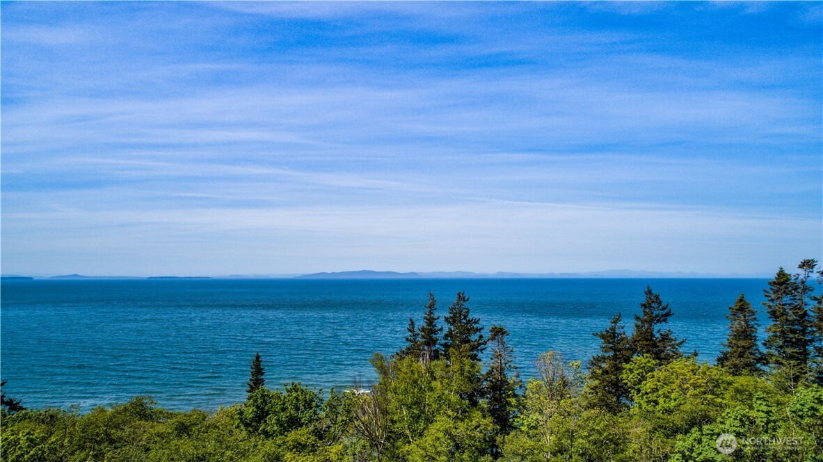 12 Koehn Road Blaine, WA 98230 - Photo 14 of 22 an aerial view of ocean and trees