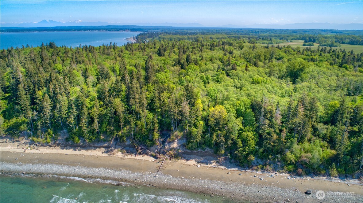 12 Koehn Road Blaine, WA 98230 - Photo 16 of 22 a view of a yard with an outdoor space