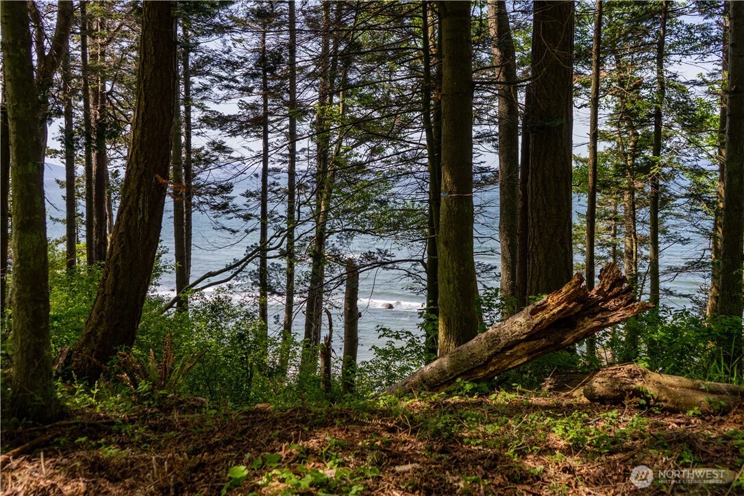 12 Koehn Road Blaine, WA 98230 - Photo 20 of 22 a backyard of a house with lots of green space