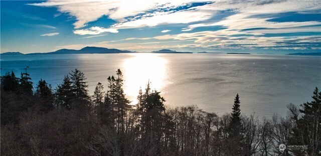 12 Koehn Road Blaine, WA 98230 - Photo 2 of 22