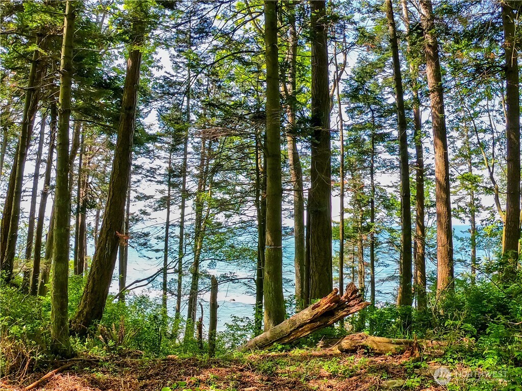 12 Koehn Road Blaine, WA 98230 - Photo 3 of 22 a view of outdoor space and trees