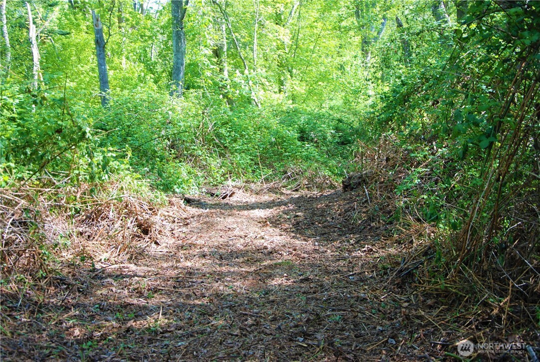 12 Koehn Road Blaine, WA 98230 - Photo 5 of 22 a view of a garden with plants
