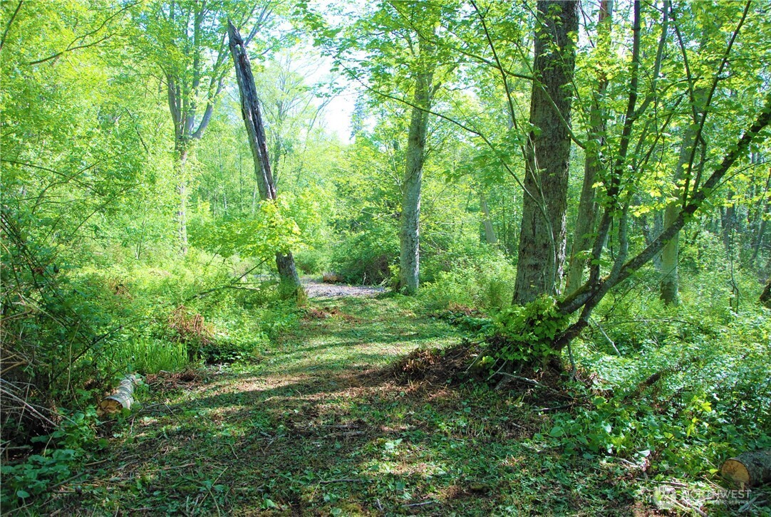 12 Koehn Road Blaine, WA 98230 - Photo 6 of 22 a view of outdoor space and green space
