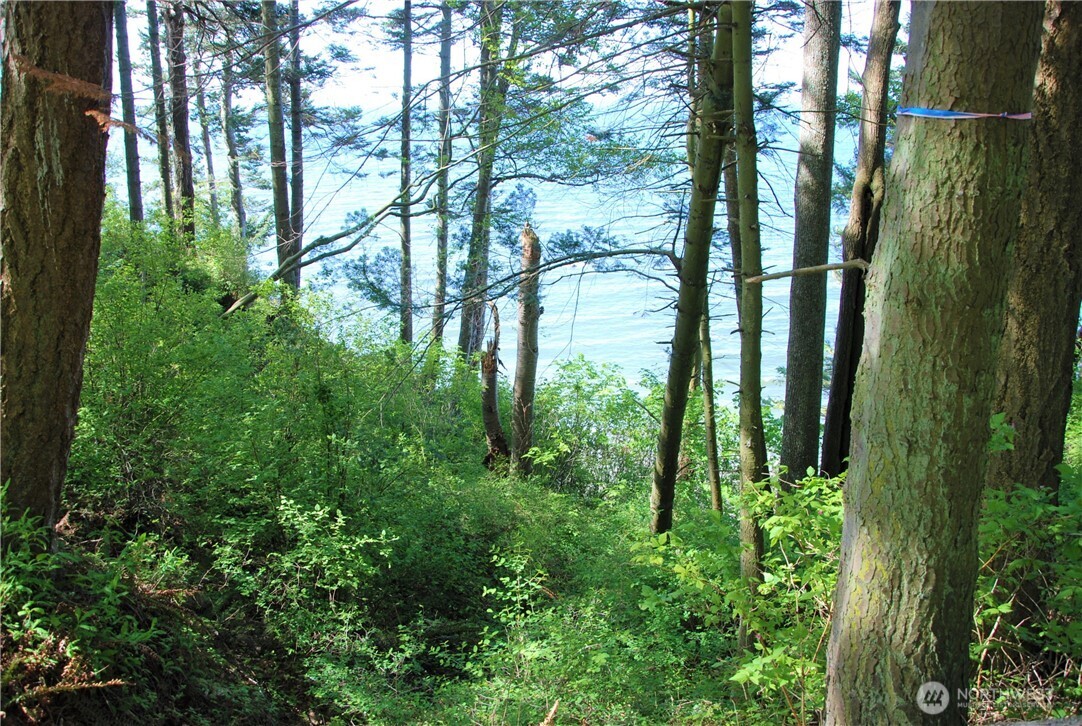 12 Koehn Road Blaine, WA 98230 - Photo 8 of 22 a view of outdoor space and trees