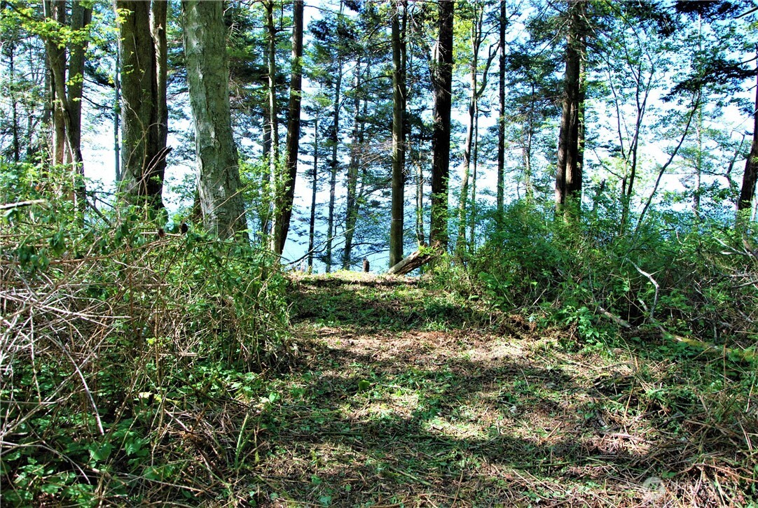 12 Koehn Road Blaine, WA 98230 - Photo 9 of 22 a view of outdoor space and trees all around