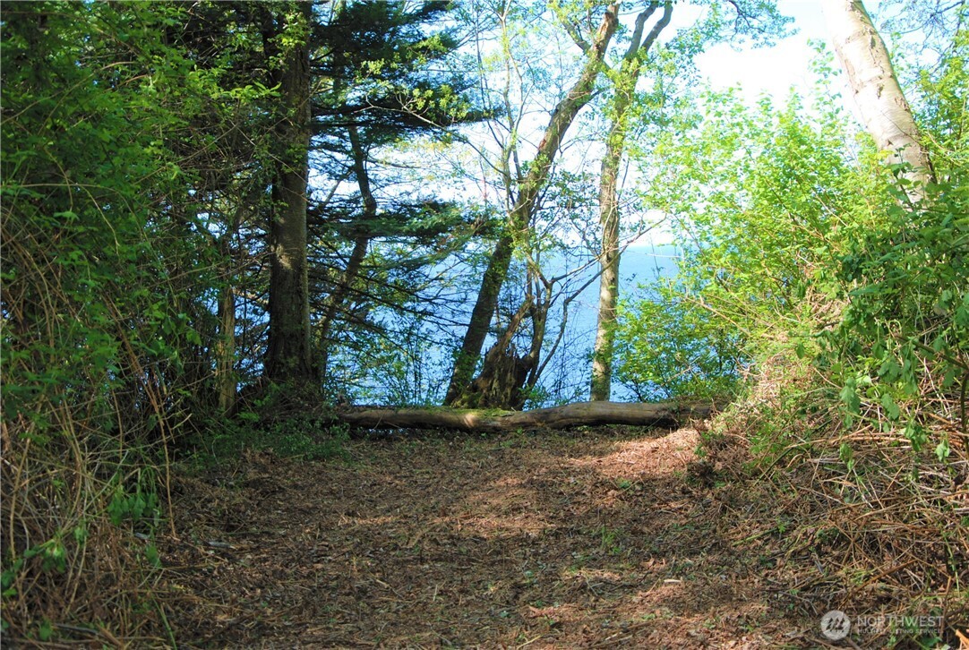 12 Koehn Road Blaine, WA 98230 - Photo 10 of 22 a view of outdoor space and yard