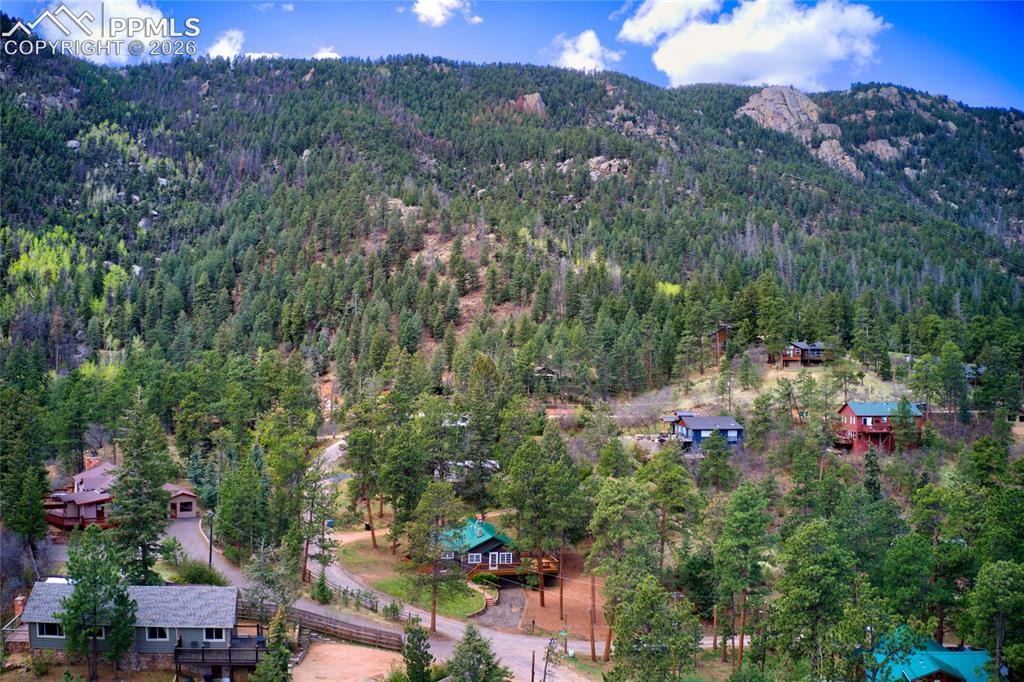 9455 Mohawk Trail Cascade, CO 80809 - Photo 26 of 33 Easy to pick out that wonderful green metal roof