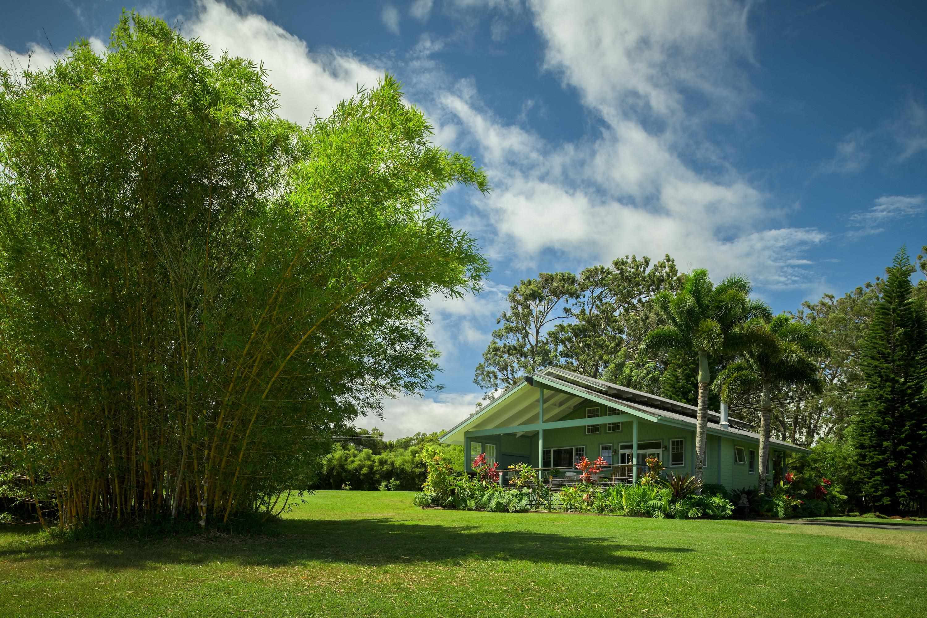 1949 West Kuiaha Road Haiku, HI 96708 - Photo 28 of 49 a view of house with swimming pool and green space