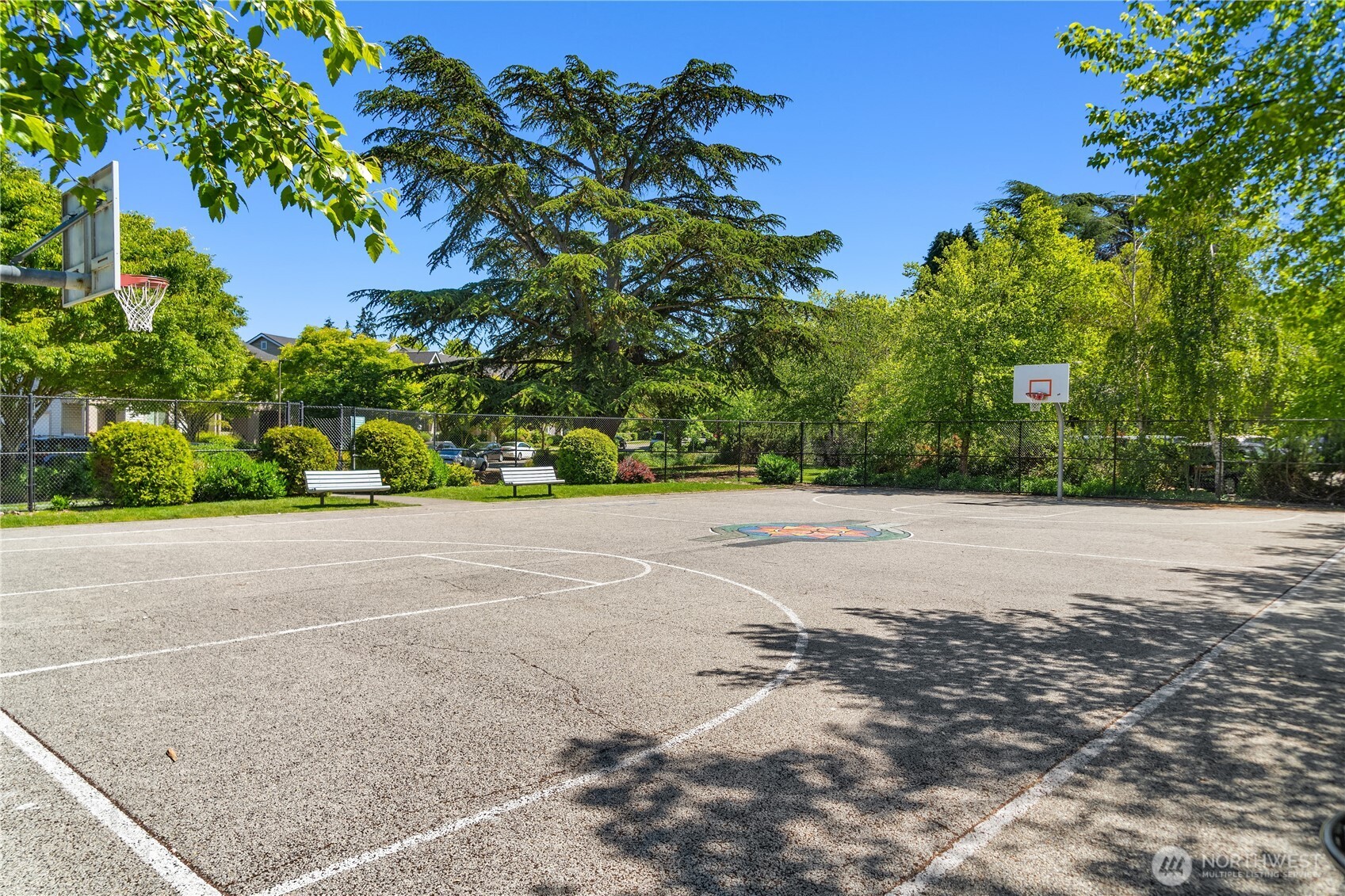 2946 Southwest Raymond Street, Unit 805 Seattle, WA 98126 - Photo 27 of 29