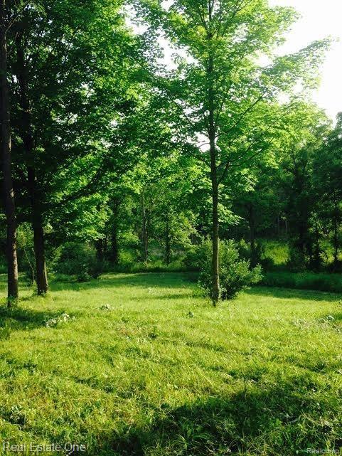1232 East Predmore Road Oakland, MI 48363 - Photo 2 of 5