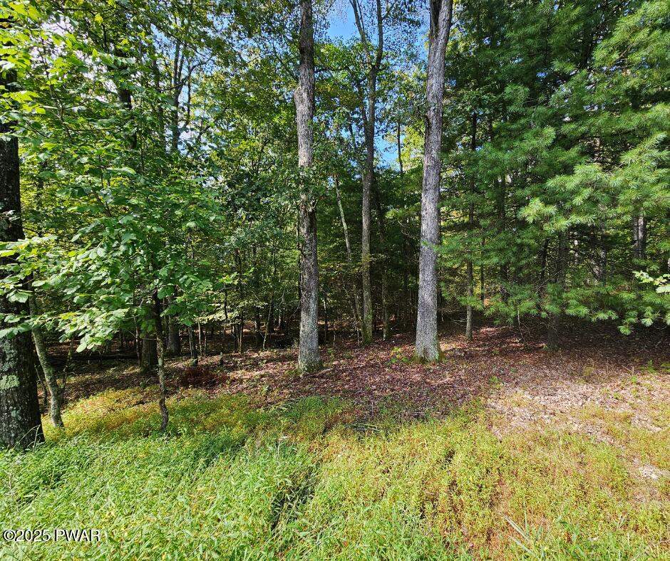 Blue Eddy Road Hawley, PA 18428 - Photo 5 of 14 Lot Pic 5