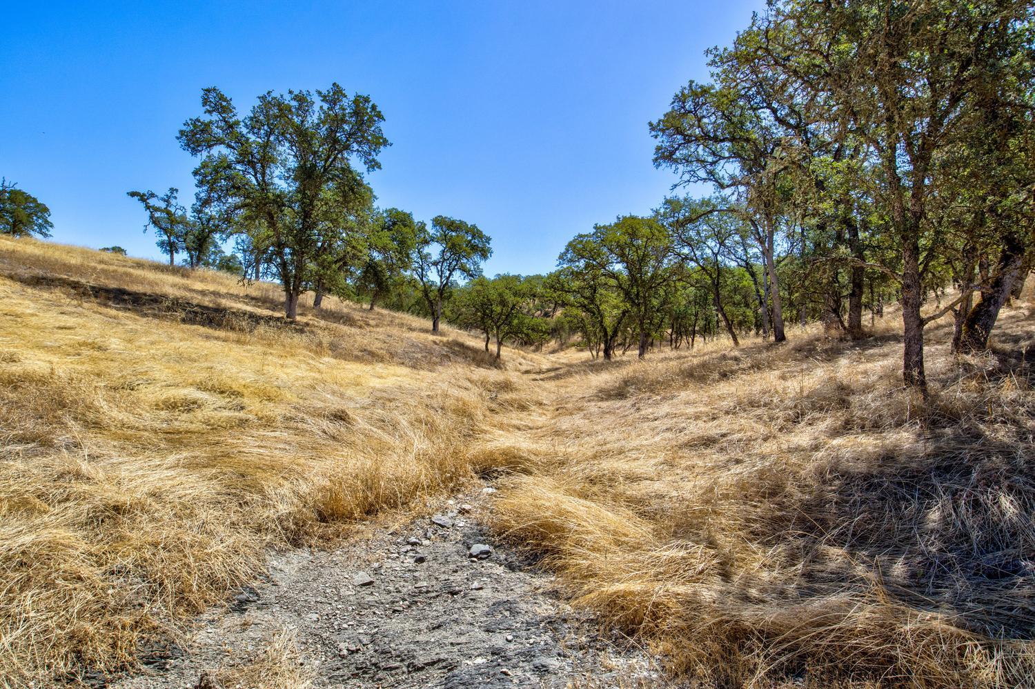 12550 Hogan Dam Road Farmington, CA 95230 - Photo 56 of 75