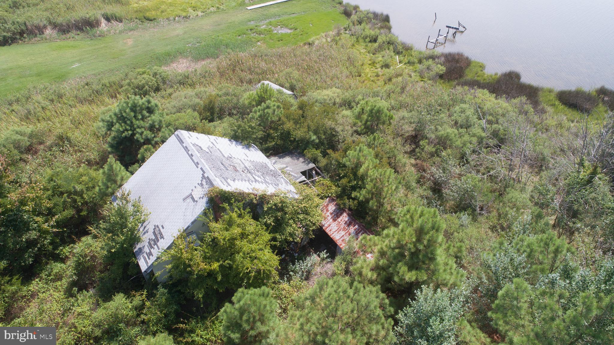 705 Twin Point Cove Road Cambridge, MD 21613 - Photo 10 of 11 Gallery Image 10