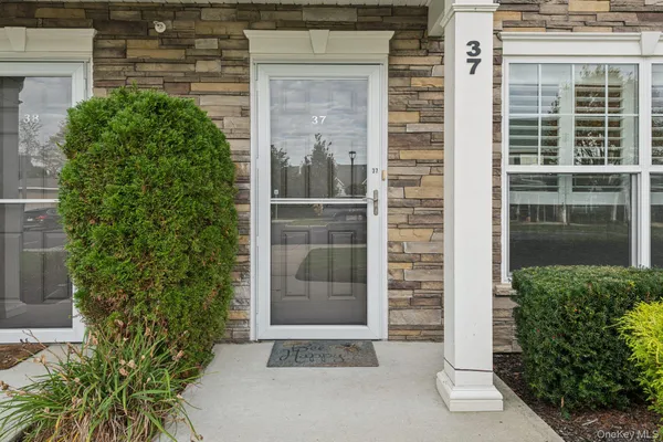 a window with a tree in front of it