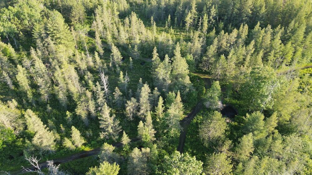 Vl Knute Road East Tawas, MI 48730 - Photo 17 of 96 DJI_0942
