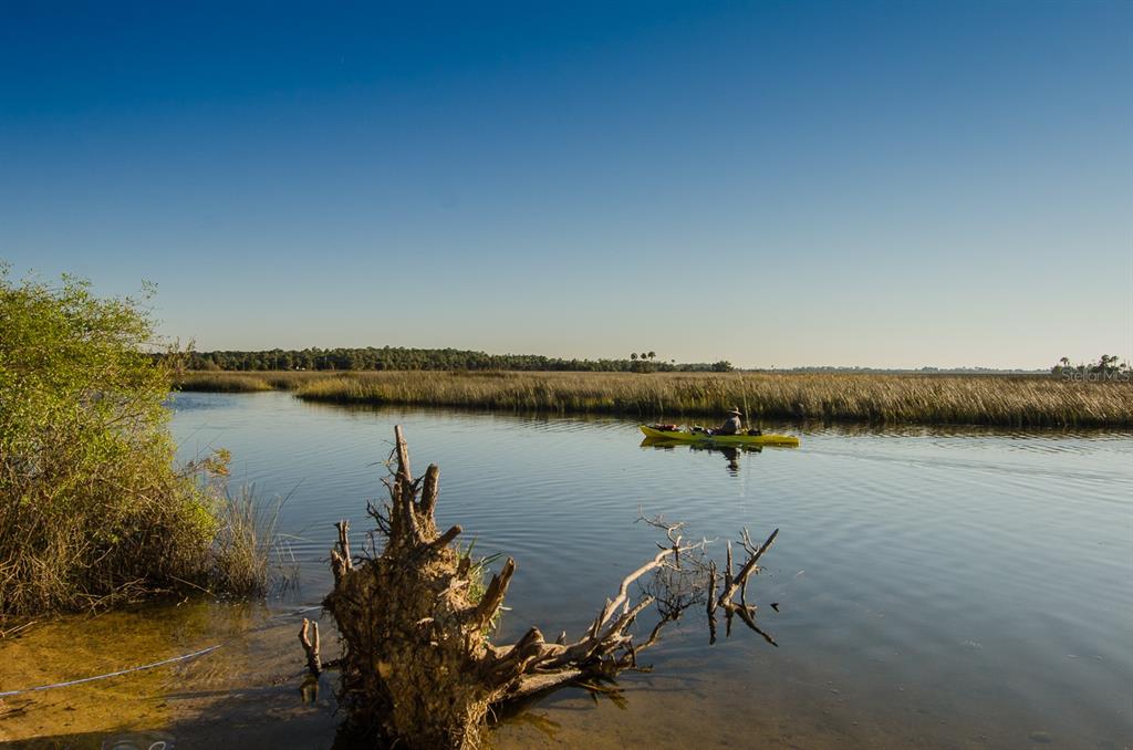8 Indian Gulf Lane Spring Hill, FL 34607 - Photo 11 of 19