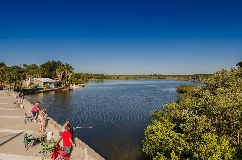 8 Indian Gulf Lane Spring Hill, FL 34607 - Photo 15 of 19