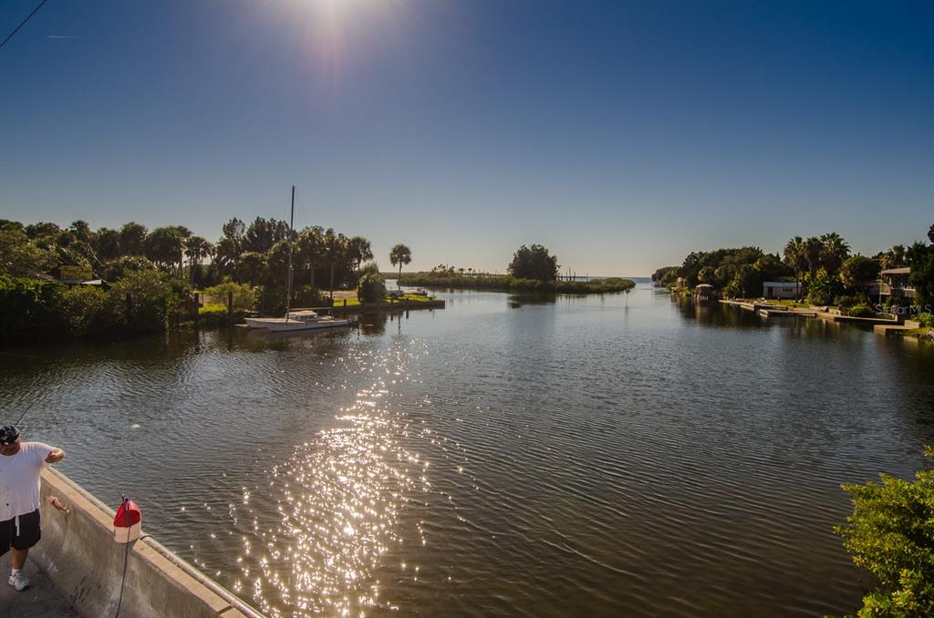 8 Indian Gulf Lane Spring Hill, FL 34607 - Photo 16 of 19