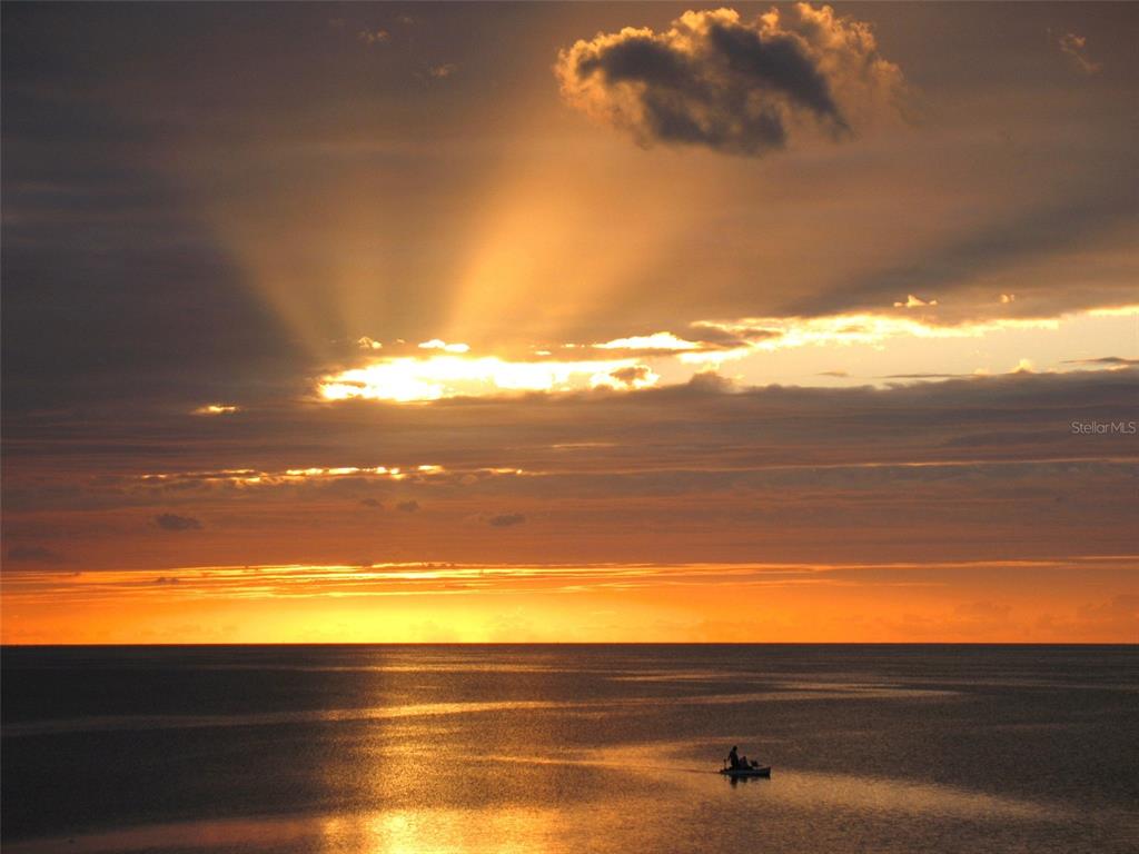 8 Indian Gulf Lane Spring Hill, FL 34607 - Photo 5 of 19