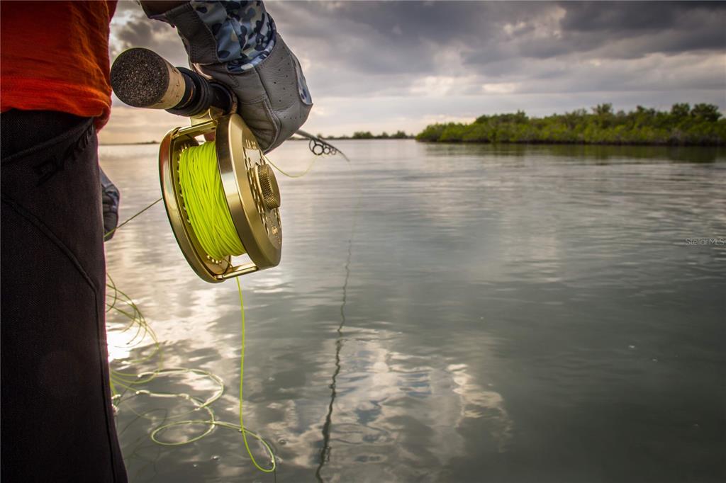 8 Indian Gulf Lane Spring Hill, FL 34607 - Photo 6 of 19