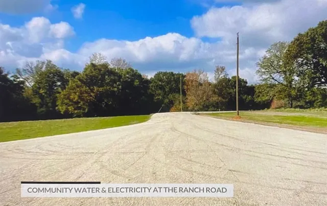 a view of swimming pool and trees in the background
