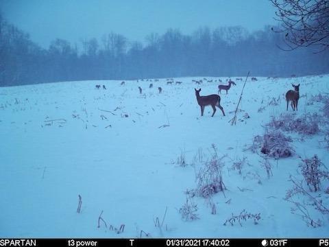 0 Blue Road Mount Vernon, OH 43050 - Photo 12 of 24