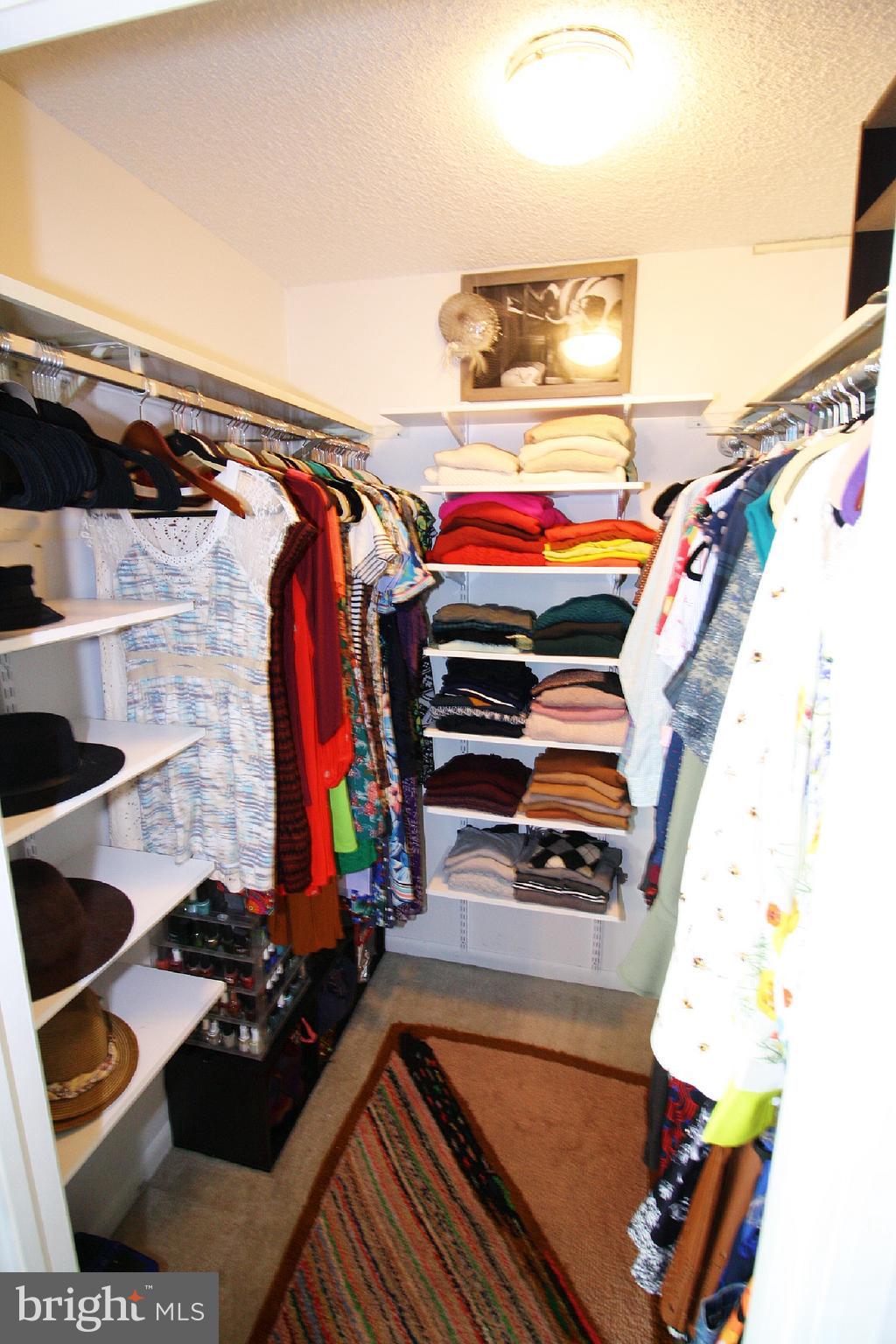 205 East Joppa Road, Unit 1603 Towson, MD 21286 - Photo 26 of 50 Master Walk In Closet