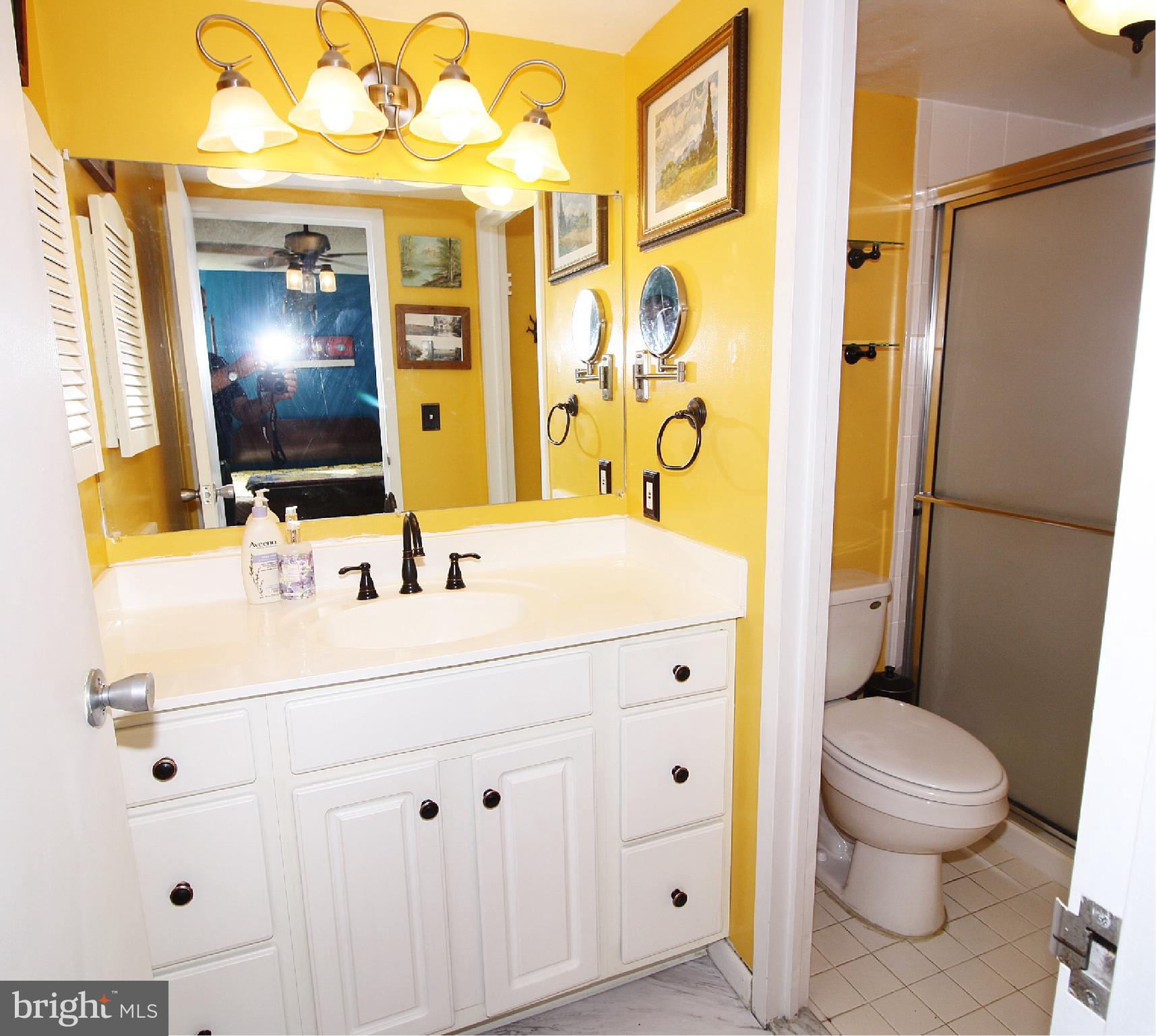 205 East Joppa Road, Unit 1603 Towson, MD 21286 - Photo 27 of 50 Updated Master Bathroom