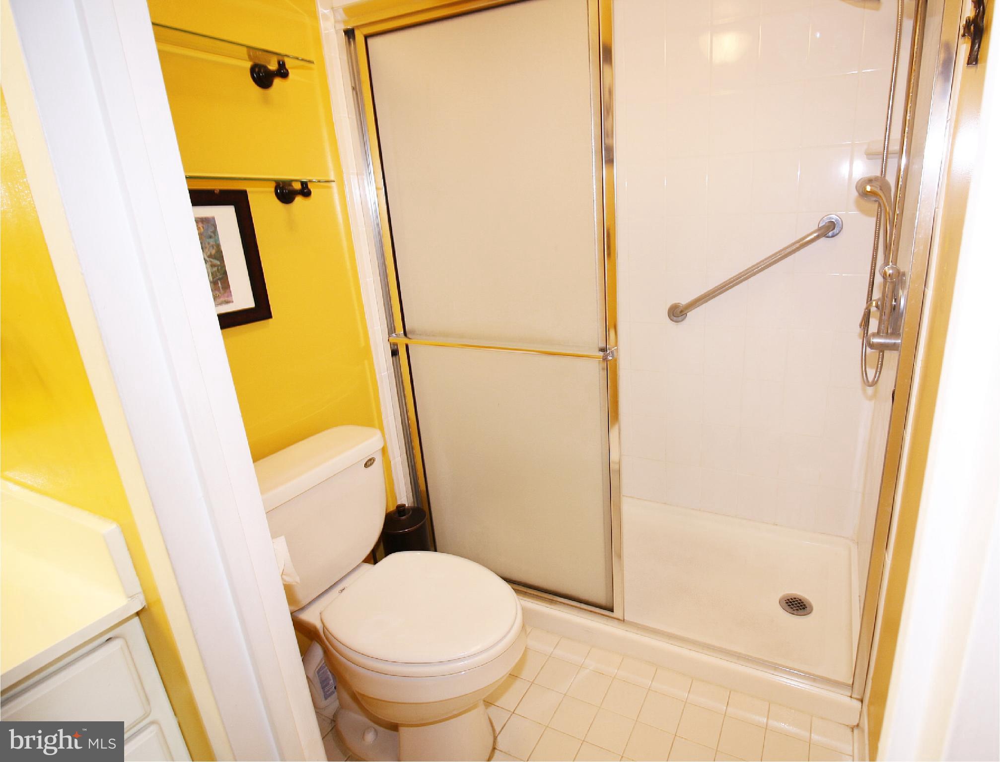 205 East Joppa Road, Unit 1603 Towson, MD 21286 - Photo 28 of 50 Walk In Shower