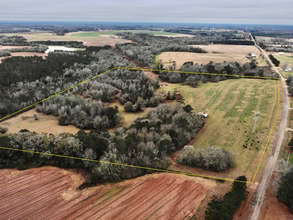 0 Tom Fain Road Geneva, AL 36340 - Photo 5 of 13