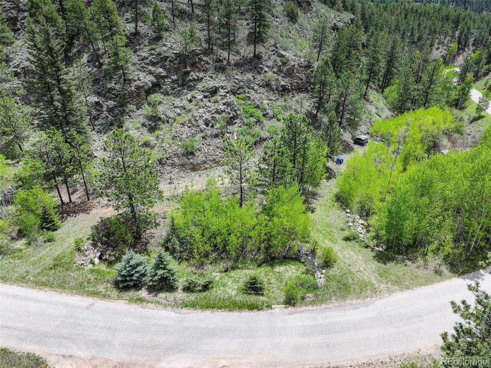 400 Crow Valley Road Bailey, CO 80421 - Photo 2 of 28