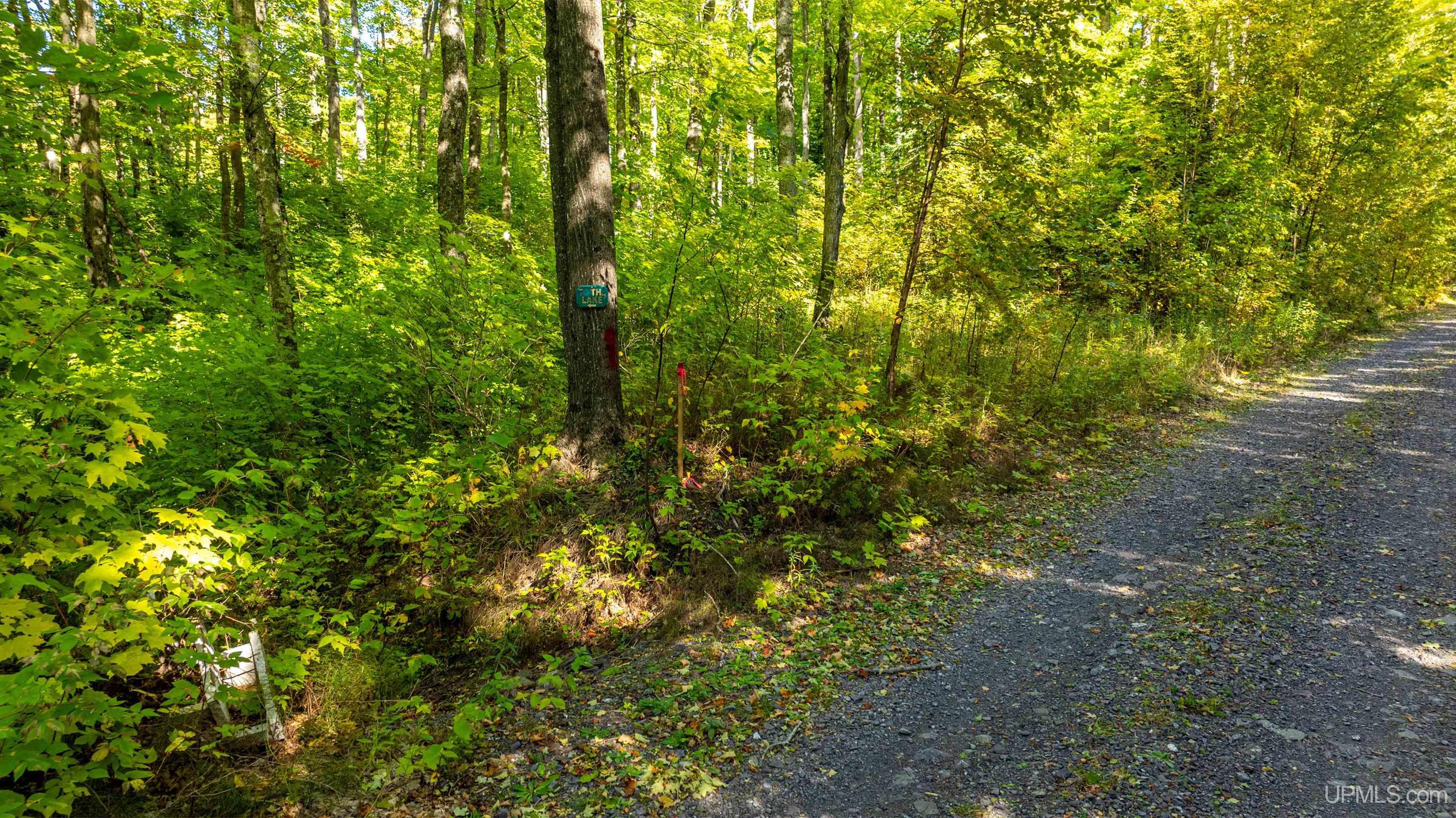 9 Redridge Creek Road Atlantic Mine, MI 49905 - Photo 18 of 27