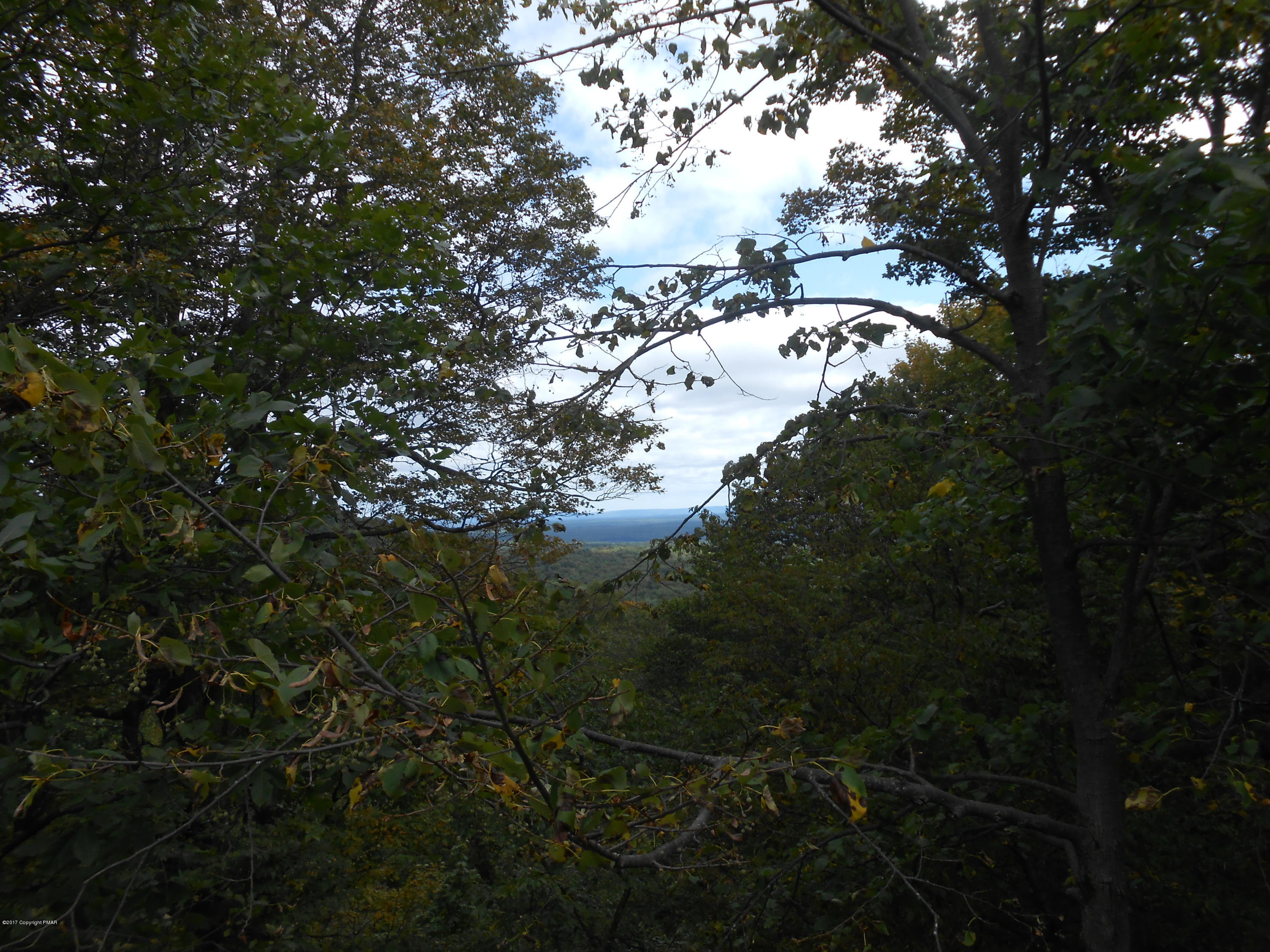 Amazing Views