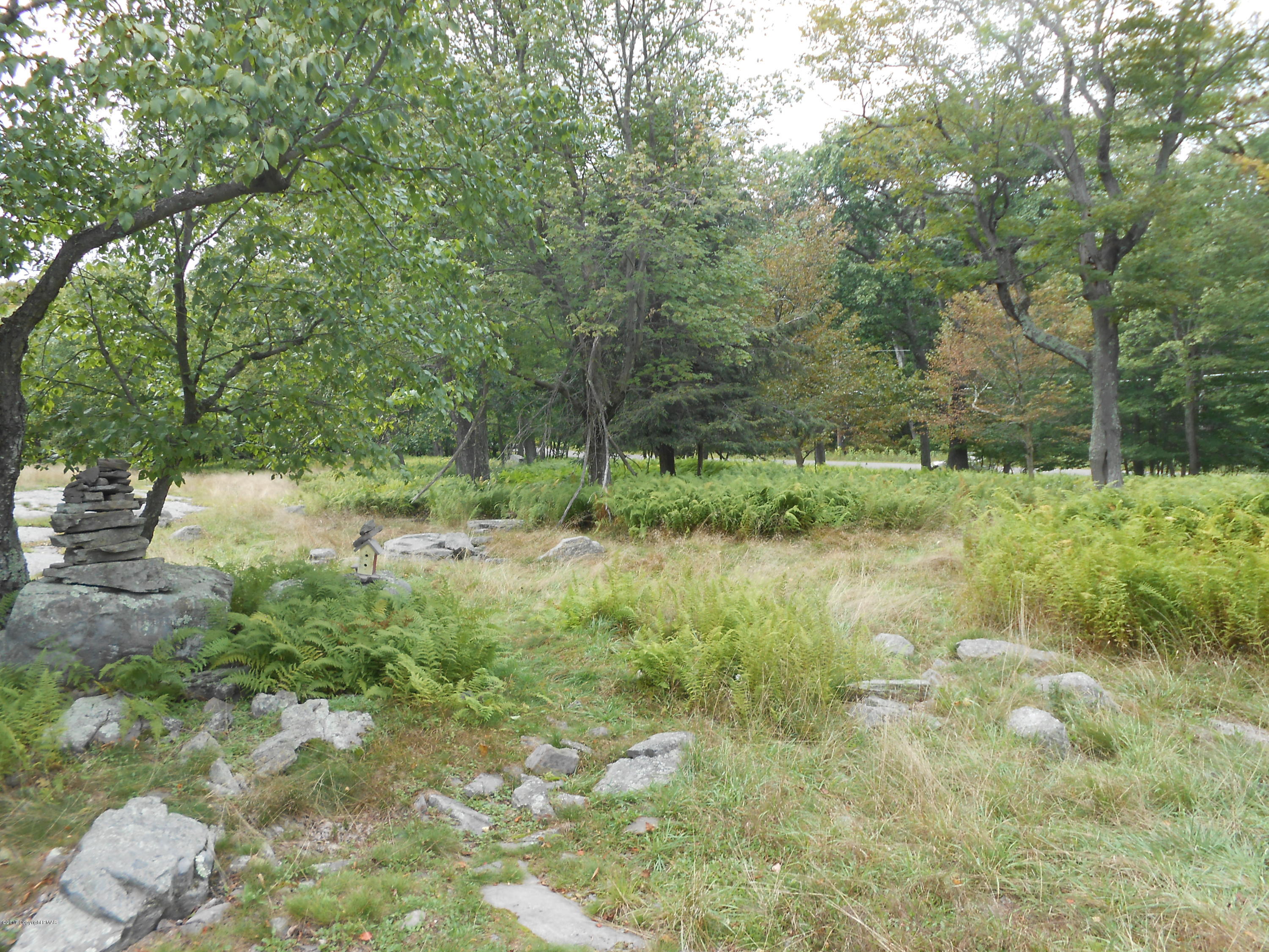 Lot 36 Lake In The Clouds Road Canadensis, PA 18325 - Photo 15 of 17 DSCN0502