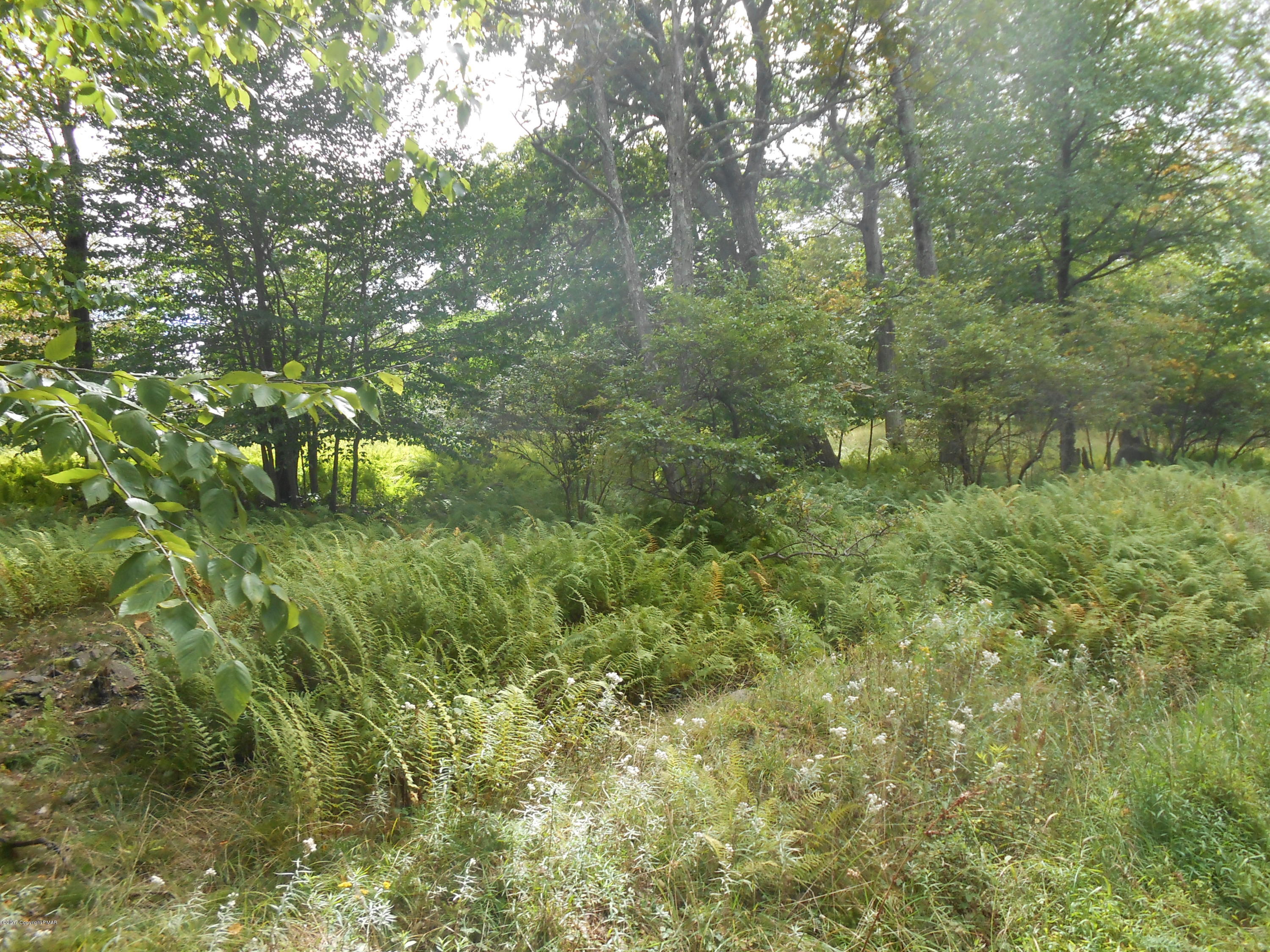 Lot 36 Lake In The Clouds Road Canadensis, PA 18325 - Photo 17 of 17 DSCN0504