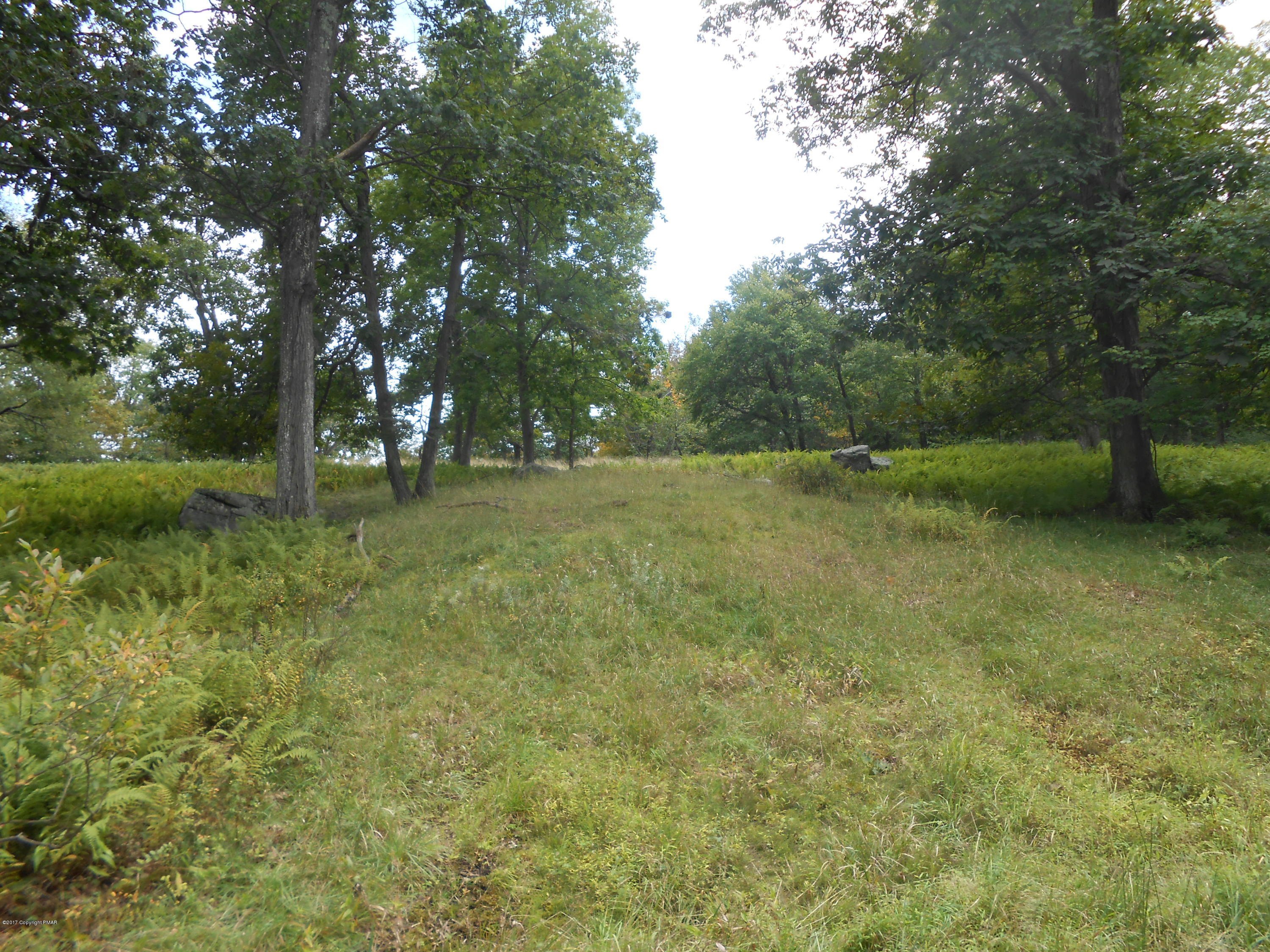 36 LITC Road