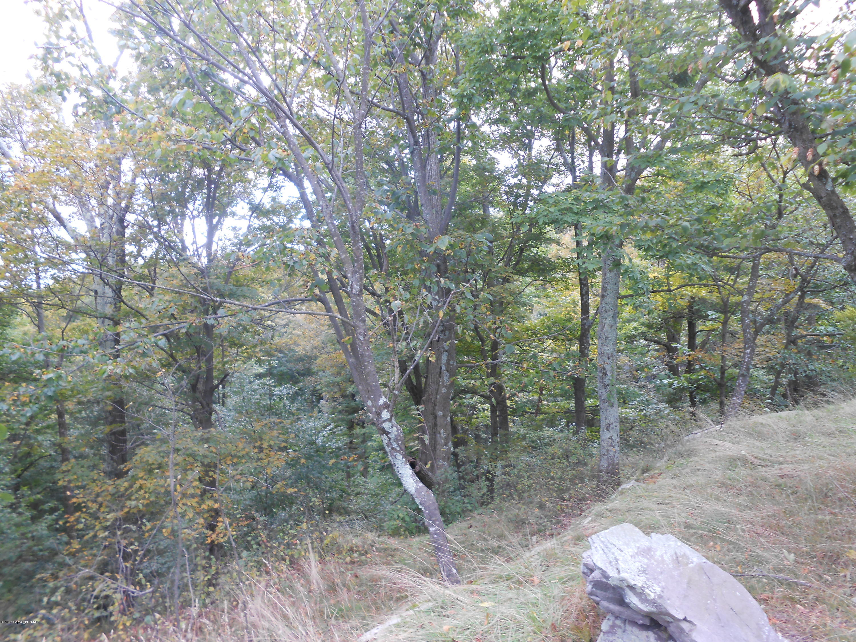 Views of the Water Gap
