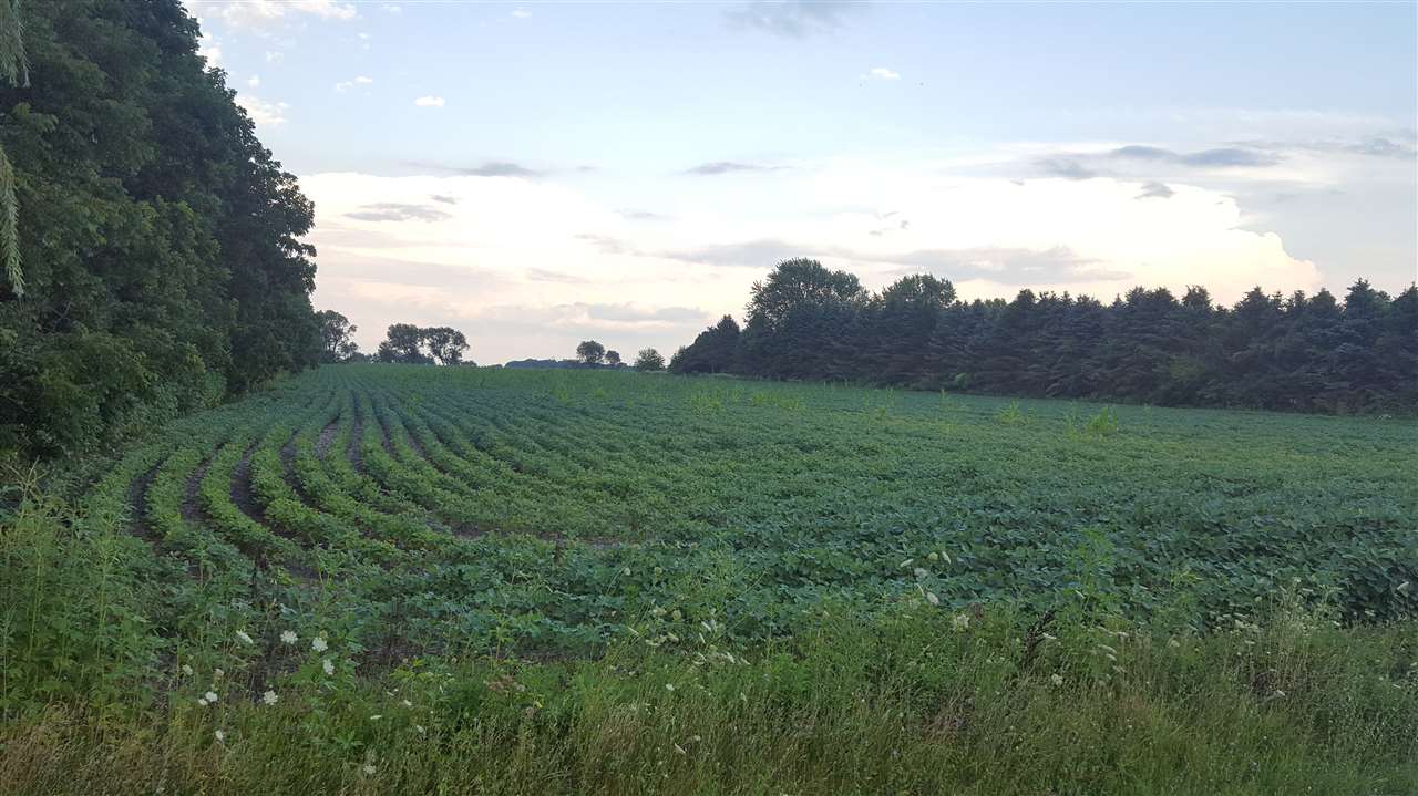 Capron Road Capron, IL 61012 - Photo 2 of 5 a view of a field of grass and trees