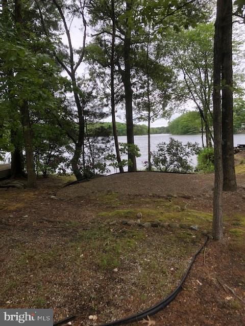 301 Clarks Pond Road Bridgeton, NJ 08302 - Photo 10 of 33 Gallery Image 10