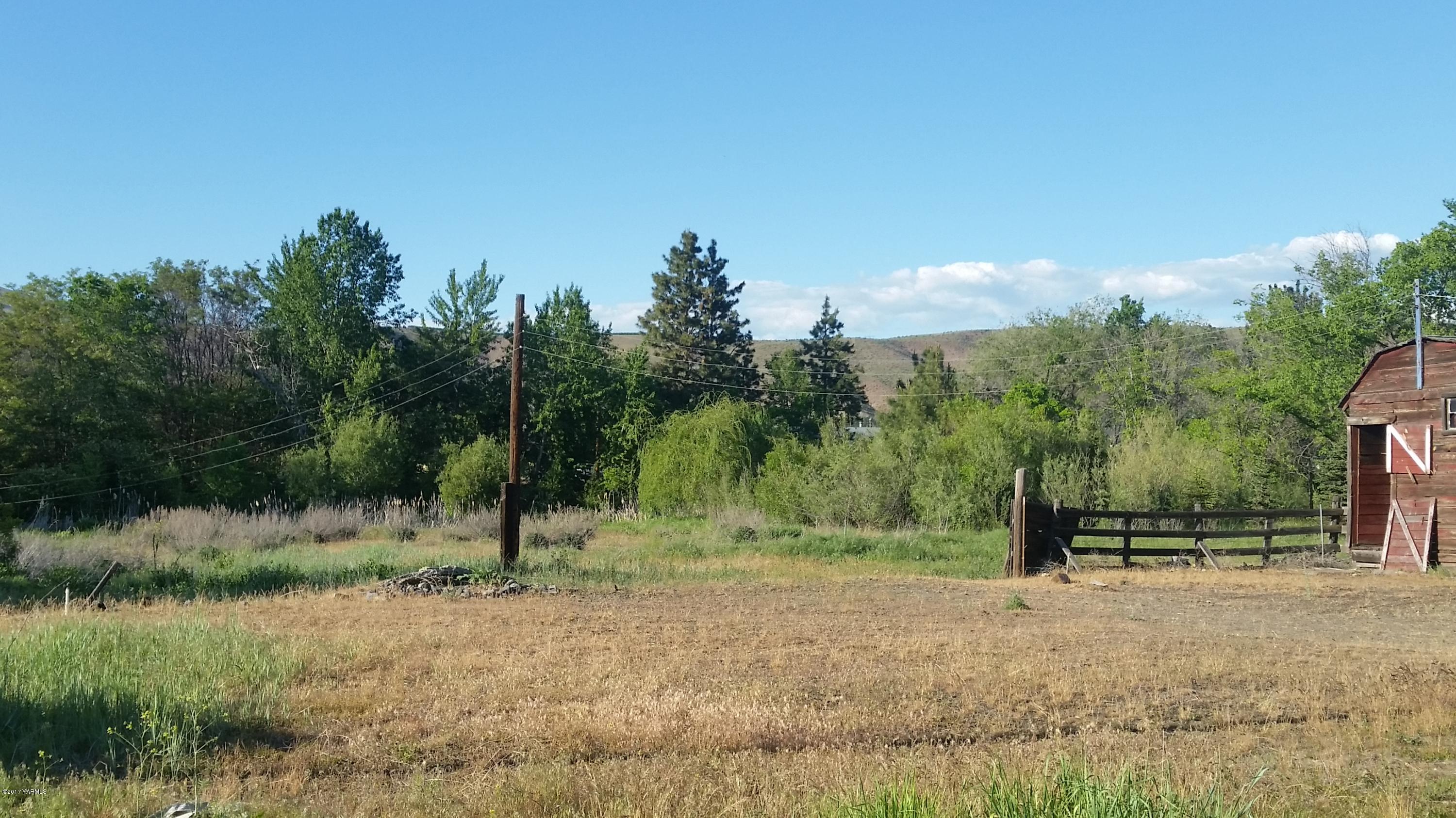 10067 South Naches Road Naches, WA 98937 - Photo 11 of 11 a view of a park with large trees