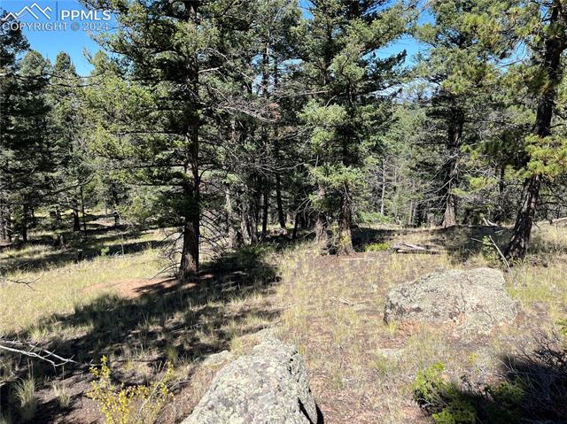 1821 Twin Rocks Road Florissant, CO 80816 - Photo 3 of 3