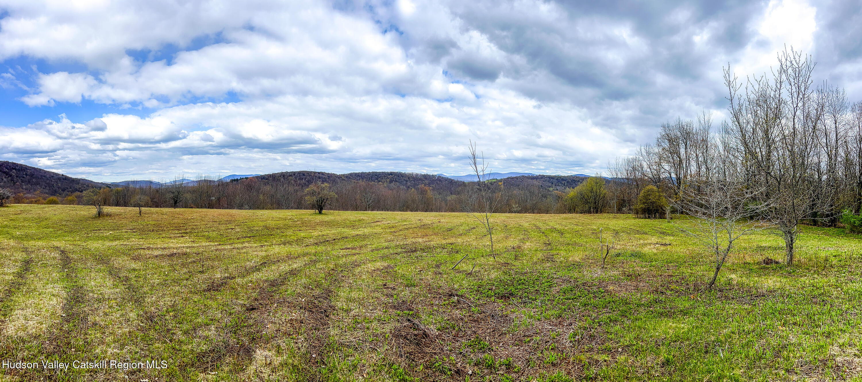 0 Brownell Road Bloomville, NY 13739 - Photo 28 of 39 23 acres Brownell Rd -- 026