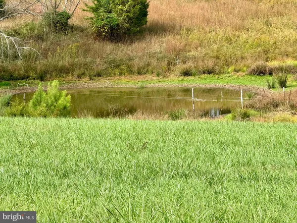 $589,900 | 220 Snappy Lane, Winchester, VA 22602