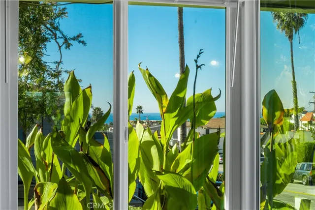 a view of a plant in a garden