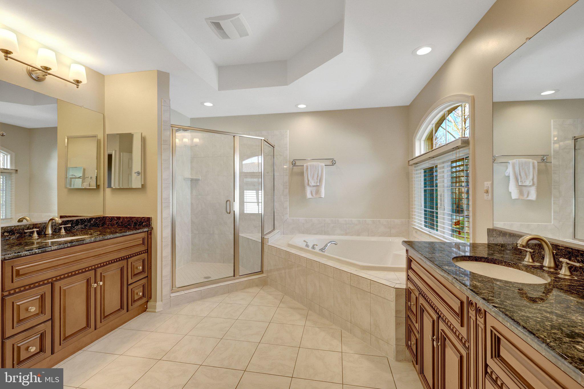 1827 Beulah Road Vienna, VA 22182 - Photo 45 of 91 a spacious bathroom with a granite countertop tub sink shower and mirror