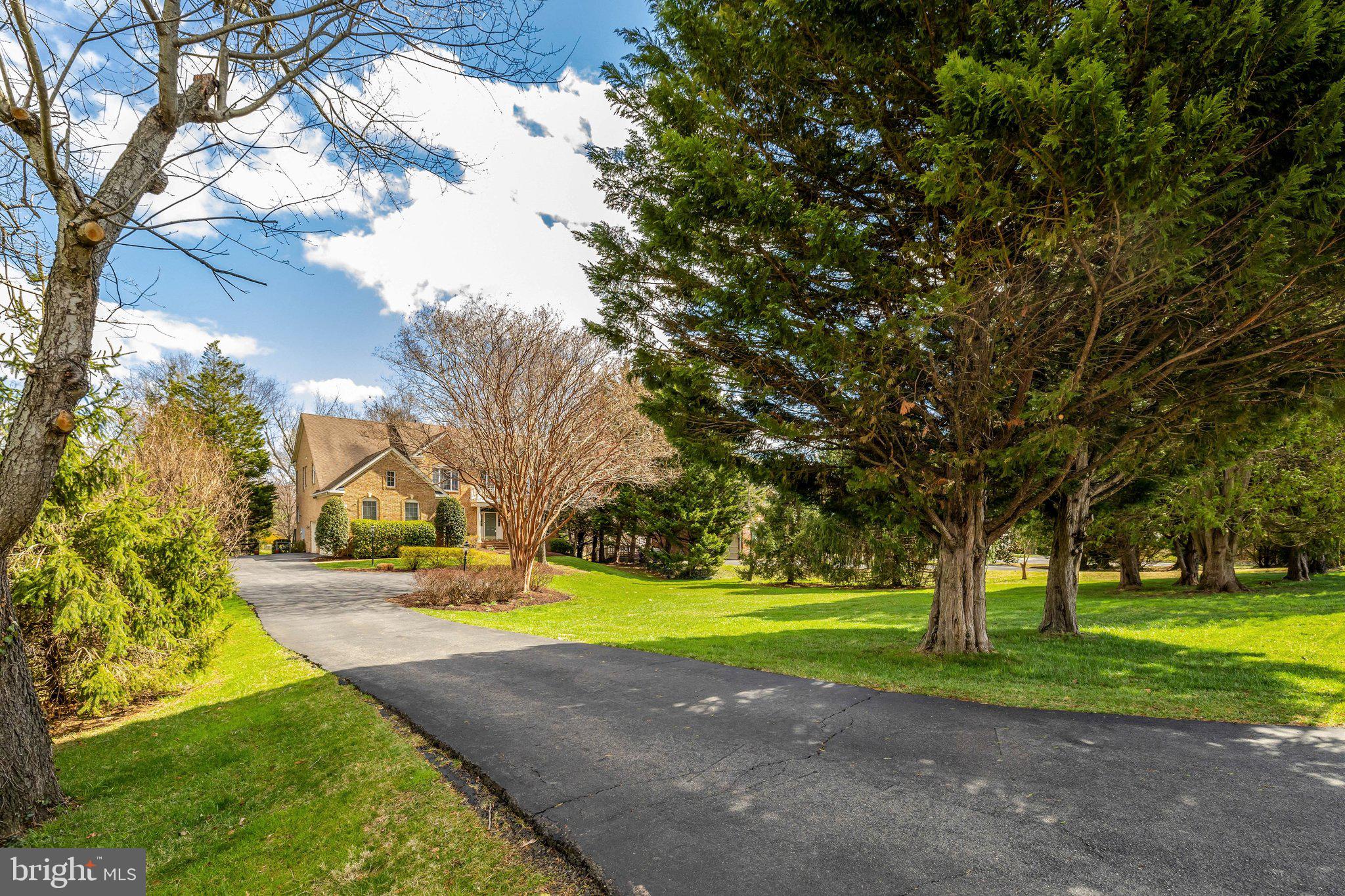 1827 Beulah Road Vienna, VA 22182 - Photo 5 of 91 a view of yard with swimming pool