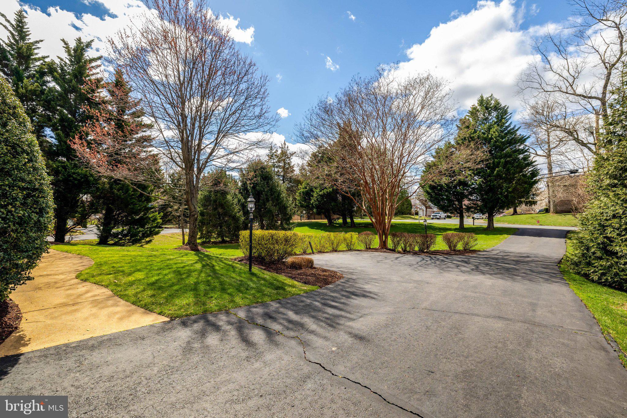 1827 Beulah Road Vienna, VA 22182 - Photo 6 of 91 a view of a park with tree s