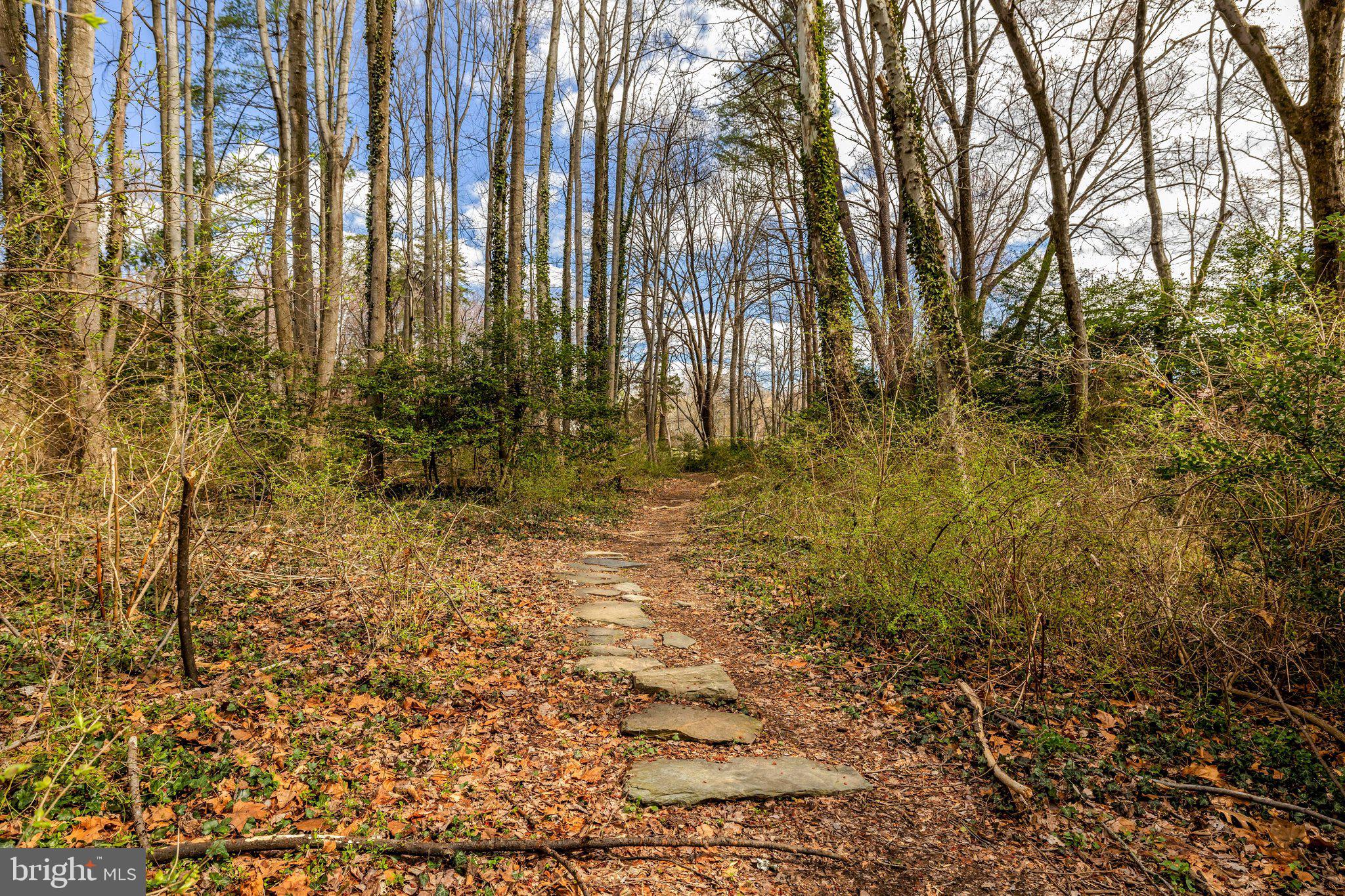 1827 Beulah Road Vienna, VA 22182 - Photo 65 of 91 Path to Spring Lake